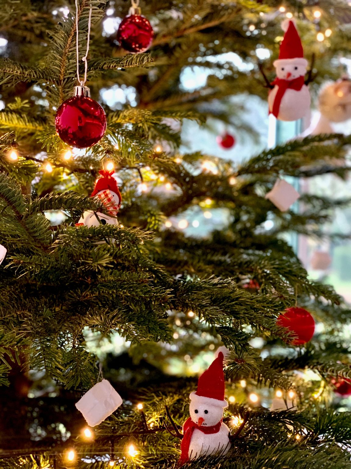 Arbres de Noël – Le Pavillon Blanc